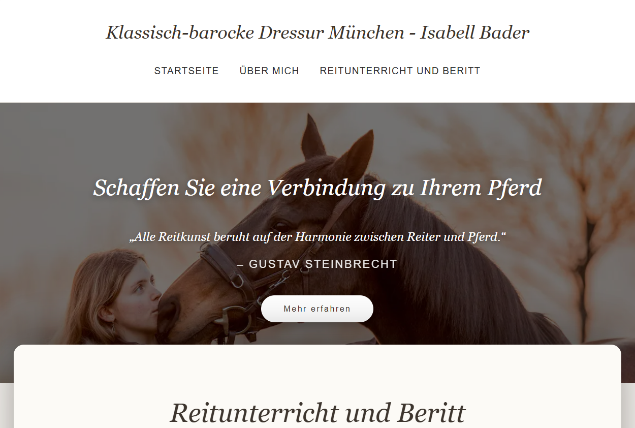 Website Reitunterricht